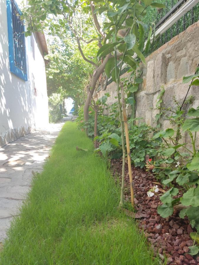 Apart Turgutreis Exterior foto